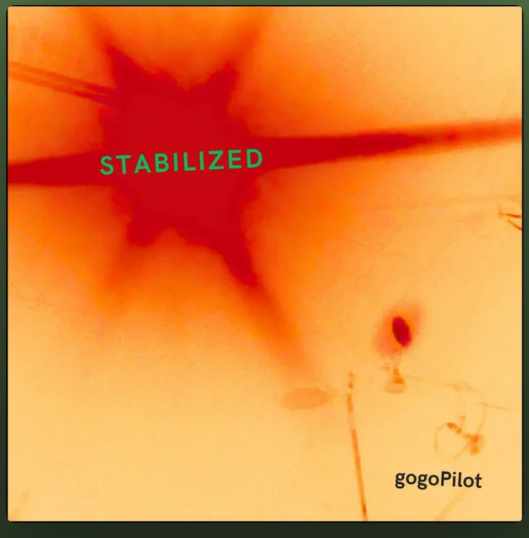 4 Stablized by GogoPilot