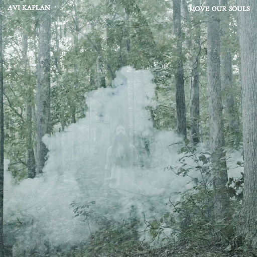 Avi Kaplan I Put a Spell on You 1