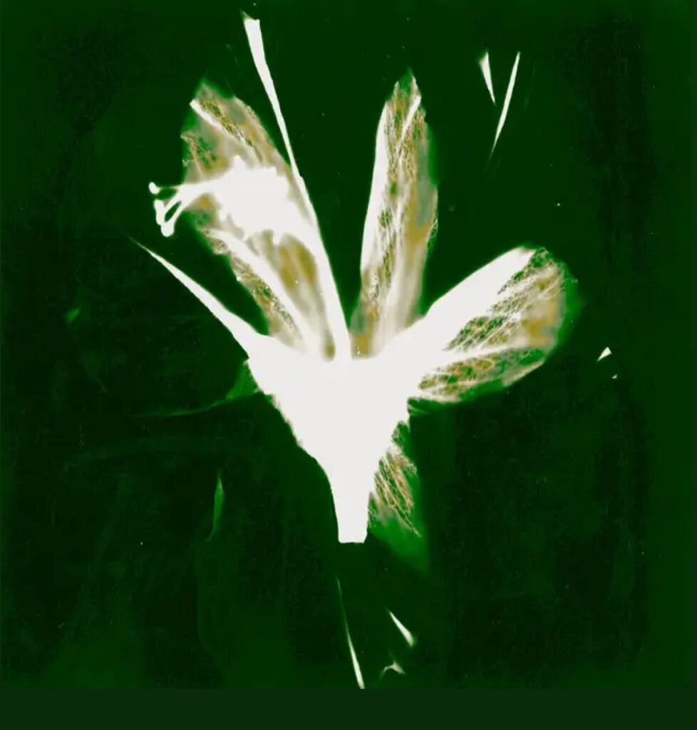 George Banda Fade Greazy Keyz