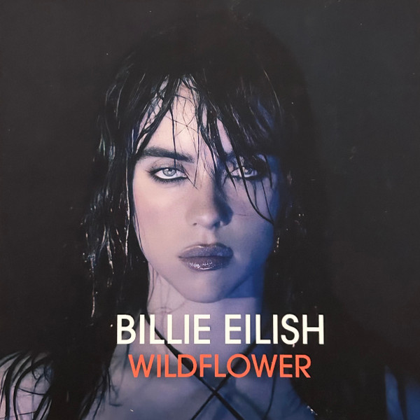 Billie Eilish “Wildflower” Song Meaning 1 R 33456371 1742407424 9358