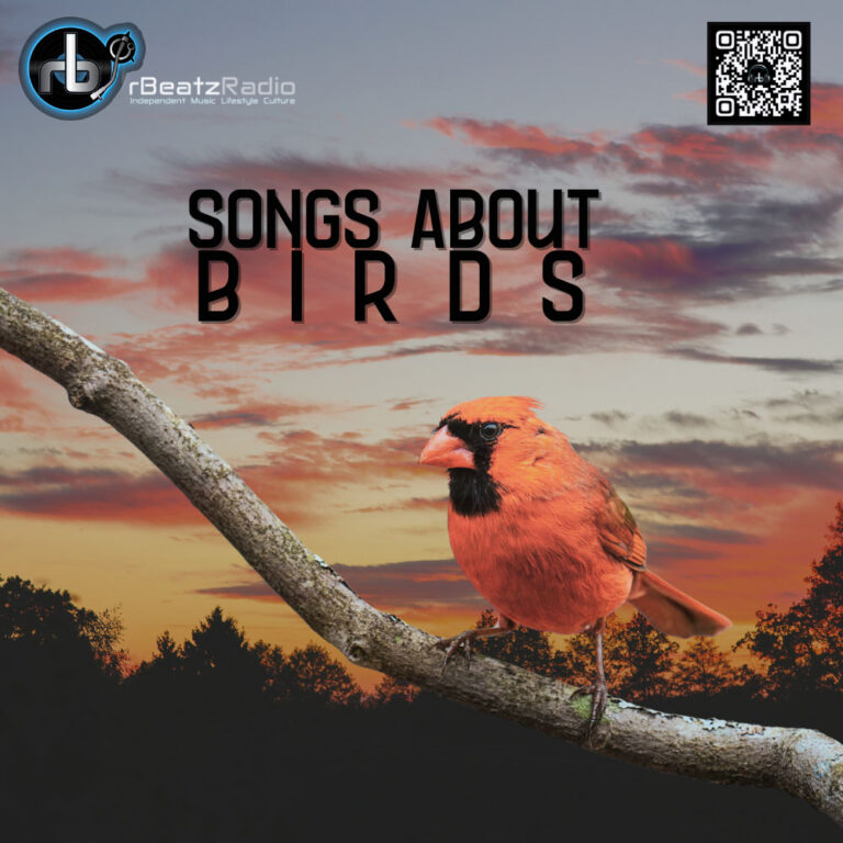 Songs About Birds _ Editors Pick 1125