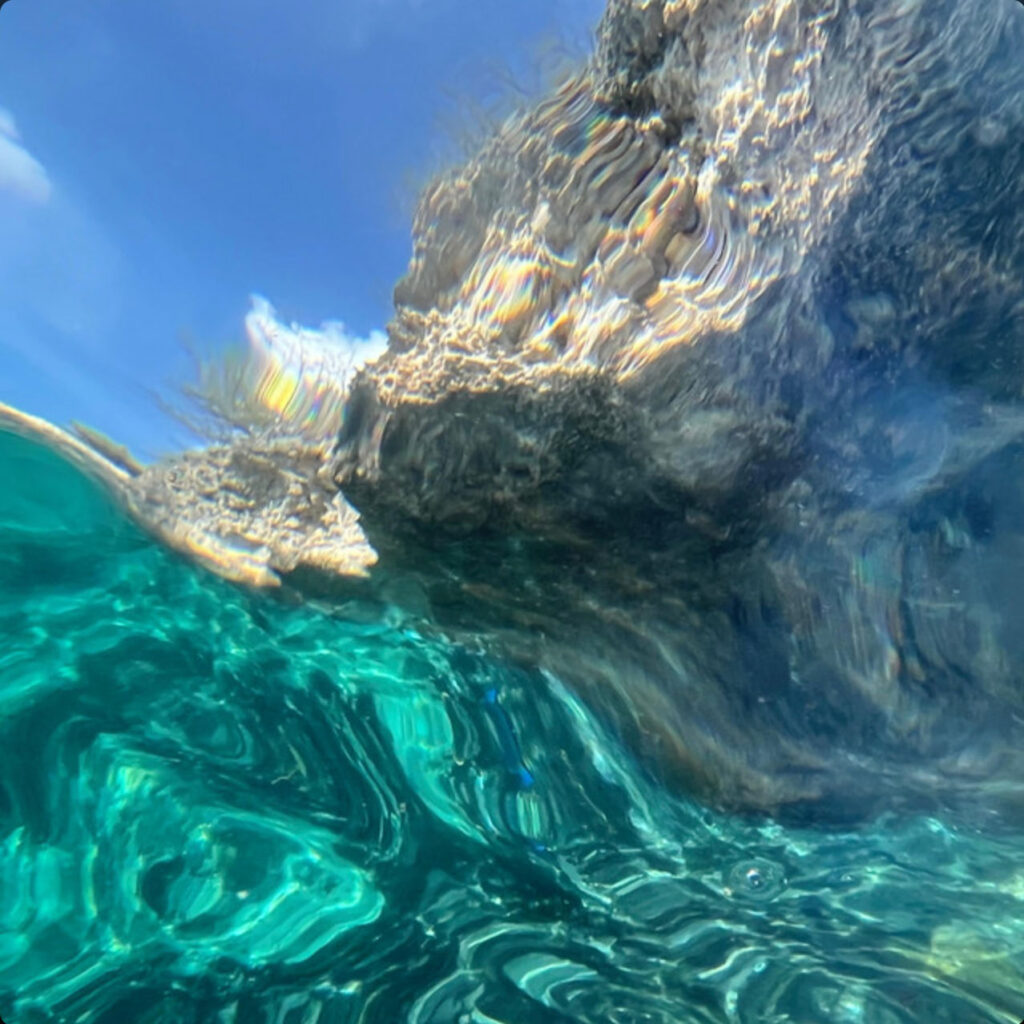 Tyler Baum Postcards from Pangea